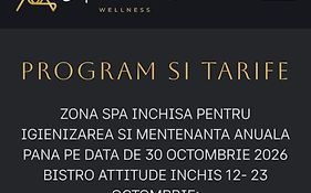 Apartament Erika Premium Sinaia cu acces zona spa contra cost